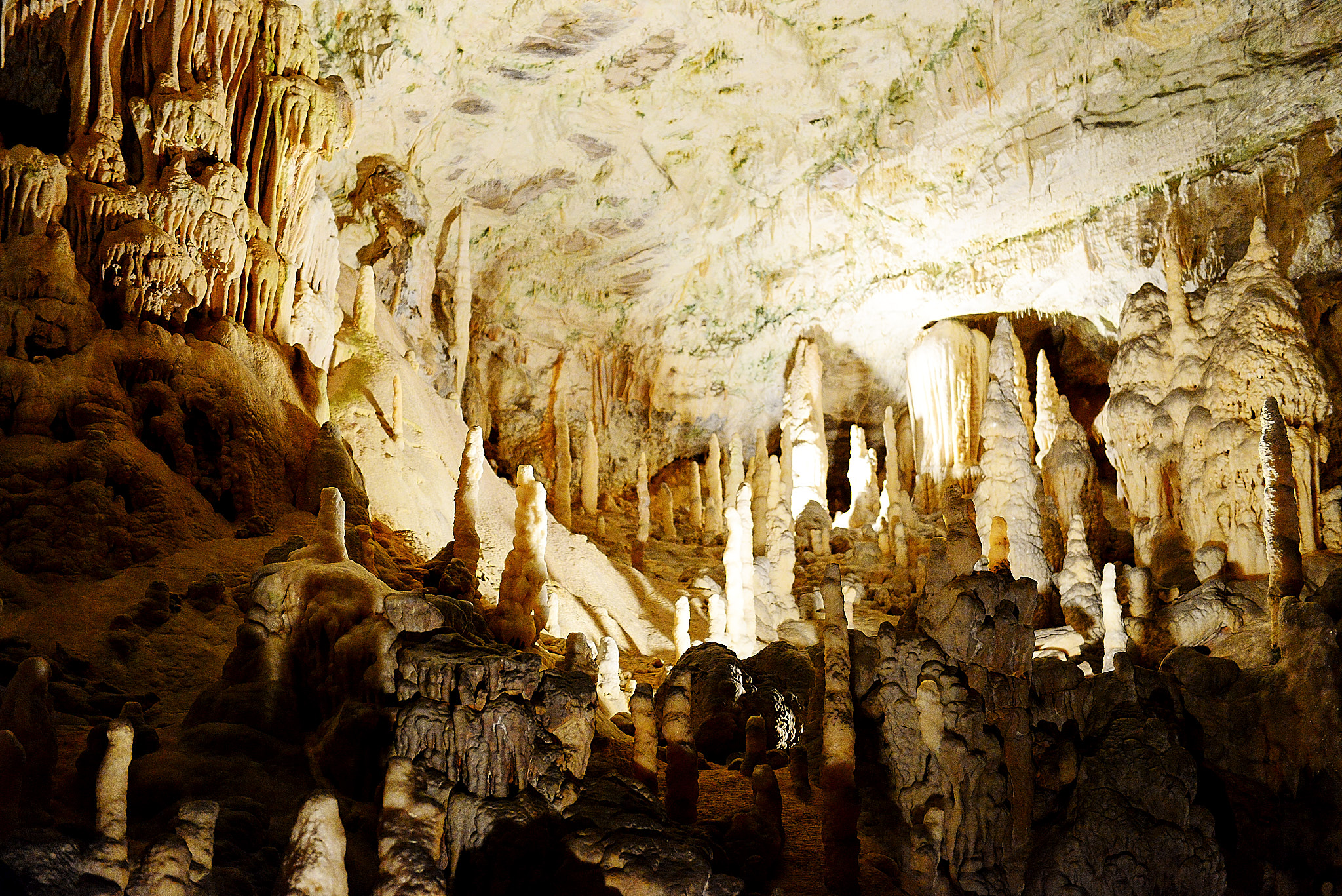 20120817 045 포스토이나 동굴(세계3대 동굴)